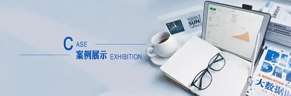 上海市软件开发
